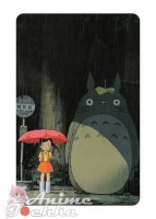 Totoro 14